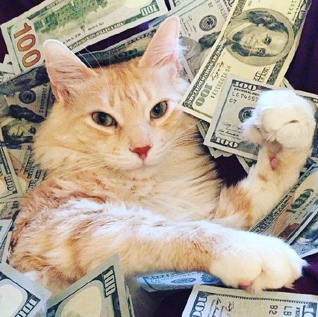 Main Bertahan Lama Modal 5k di Slot Gacor